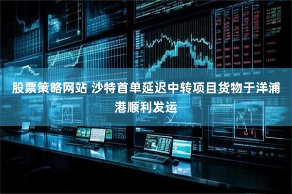 股票策略网站 沙特首单延迟中转项目货物于洋浦港顺利发运
