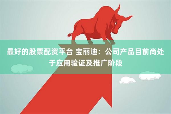 最好的股票配资平台 宝丽迪：公司产品目前尚处于应用验证及推广阶段