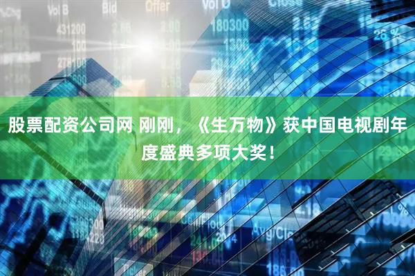 股票配资公司网 刚刚，《生万物》获中国电视剧年度盛典多项大奖！