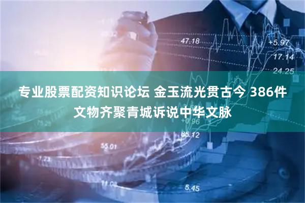 专业股票配资知识论坛 金玉流光贯古今 386件文物齐聚青城诉说中华文脉