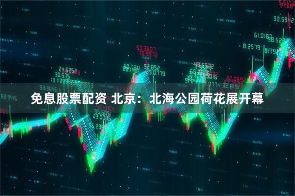 免息股票配资 北京：北海公园荷花展开幕